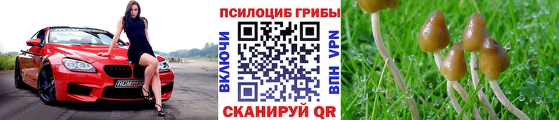 mega ССЫЛКА  Новоуральск  Галлюциногенные грибы Magic Shrooms  как найти закладки 