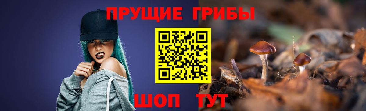 Галлюциногенные грибы Psilocybine cubensis  Вход с VPN  Новоуральск  Псилоцибиновые грибы мухоморы 